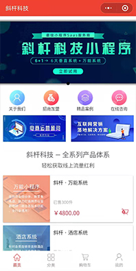 互聯網小程序開發