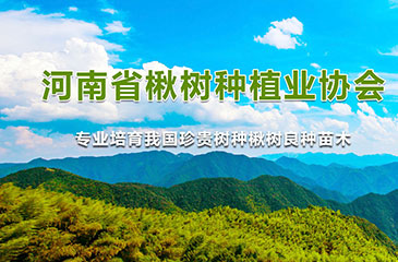 種植業網站開發案例